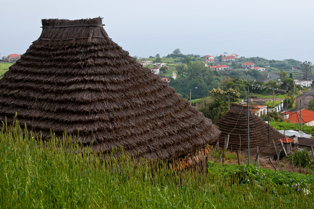541_Madera_Sao Jorge.jpg